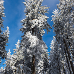 Feldberg_Winter_20160118_020