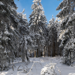 Feldberg_Winter_20160118_002