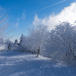 Feldberg_Winter_20160118_036