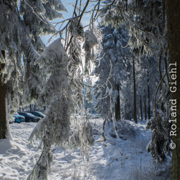 Feldberg_Winter_20160118_005