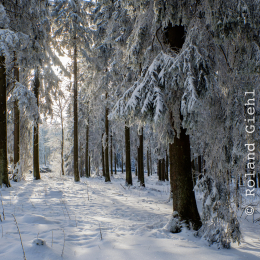 Feldberg_Winter_20160118_003