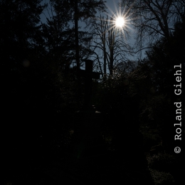 Hauptfriedhof-Frankfurt_20210307_0011