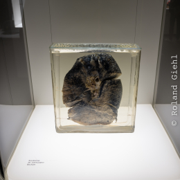 Ruhrgebiet_2022_104_20221105