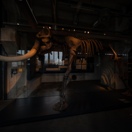 Ruhrgebiet_2022_077_20221105