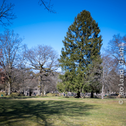 Saalburg Februar 2022