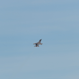 Spangdahlem April 2022