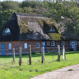 Urlaub_2009_Ostsee_2009-09-16_06