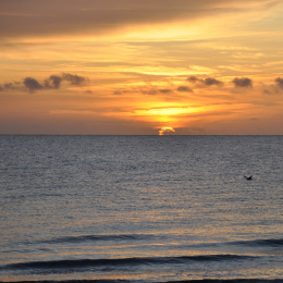 Urlaub_2009_Ostsee_2009-09-17_08