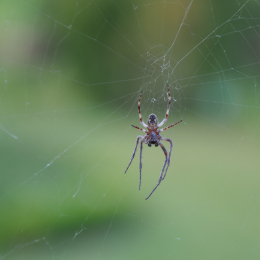 Urlaub_2009_Ostsee_2009-09-15_34