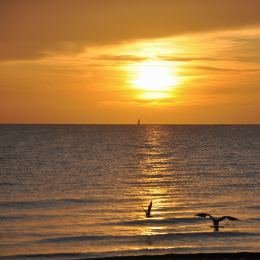 Urlaub_2009_Ostsee_2009-09-17_15