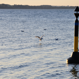 Urlaub_2009_Ostsee_2009-09-15_49