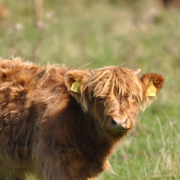 Urlaub_2009_Ostsee_2009-09-16_11