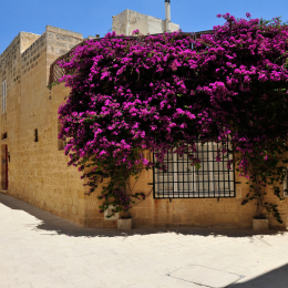 malta_tag11_17_2010-06-28