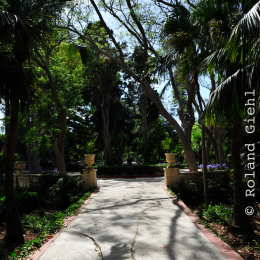 malta_tag4_15_2010-06-21