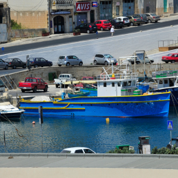 malta_tag12_13_2010-06-29