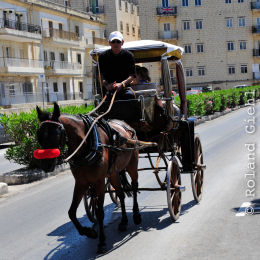 malta_tag3_47_2010-06-20