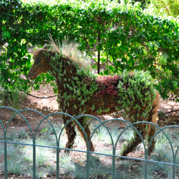malta_tag4_32_2010-06-21