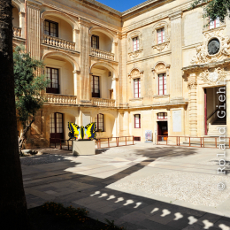 malta_tag11_82_2010-06-28