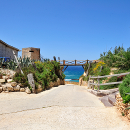 malta_tag2_12_2010-06-19