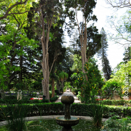 malta_tag4_16_2010-06-21