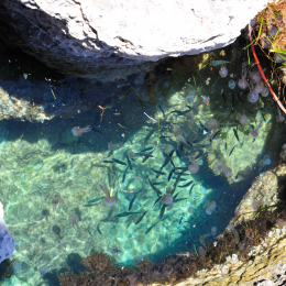 malta_tag7_13_2010-06-24