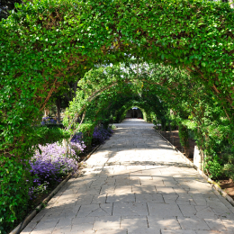 malta_tag4_21_2010-06-21