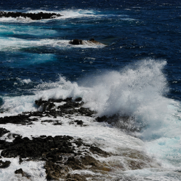 malta_tag2_30_2010-06-19