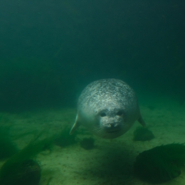 Urlaub2012-06-11_Wilhelmshaven_17