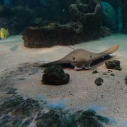 Urlaub2012-06-11_Wilhelmshaven_23