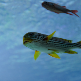 Urlaub2012-06-13_Bremerhaven_71