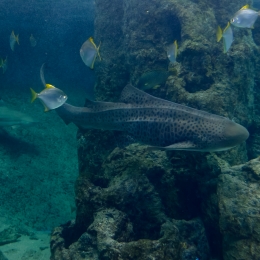 Urlaub2012-06-11_Wilhelmshaven_30