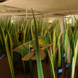 Urlaub2012-06-13_Bremerhaven_50