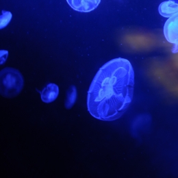 Urlaub2012-06-11_Wilhelmshaven_15