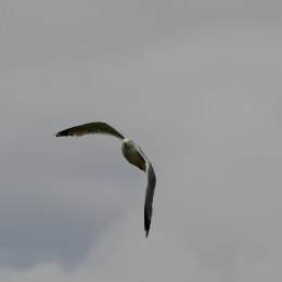 Urlaub2012-06-17_Langeoog_18