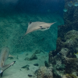 Urlaub2012-06-11_Wilhelmshaven_27