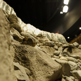 Urlaub2012-06-13_Bremerhaven_46