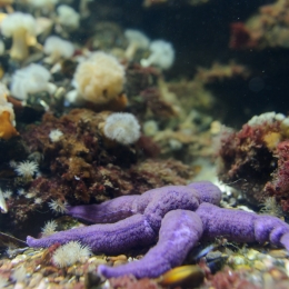 Urlaub2012-06-11_Wilhelmshaven_11