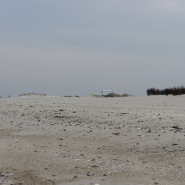 Urlaub2012-06-15_Helgoland_43