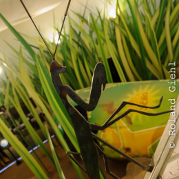 Urlaub2012-06-13_Bremerhaven_51