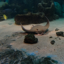 Urlaub2012-06-11_Wilhelmshaven_22