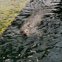 Urlaub2012-06-11_Wilhelmshaven_34