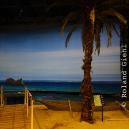 Urlaub2012-06-13_Bremerhaven_68