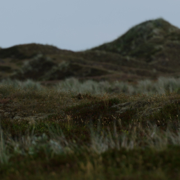 Urlaub2012-06-17_Langeoog_40