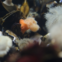 Urlaub2012-06-11_Wilhelmshaven_09