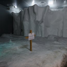 Urlaub2012-06-13_Bremerhaven_61