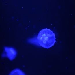 Urlaub2012-06-11_Wilhelmshaven_14