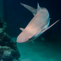 Urlaub2012-06-11_Wilhelmshaven_21