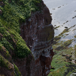 Urlaub2012-06-14_Helgoland_29