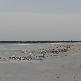 Urlaub2012-06-15_Helgoland_42