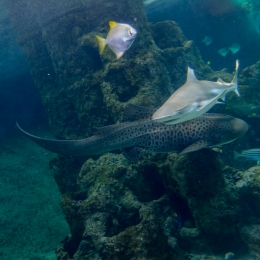 Urlaub2012-06-11_Wilhelmshaven_31